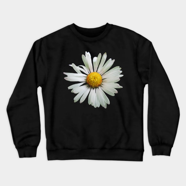 white daisy flower, blooming daisy, blooms, flowers, daisies Crewneck Sweatshirt by rh_naturestyles